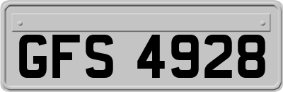 GFS4928