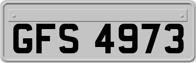 GFS4973