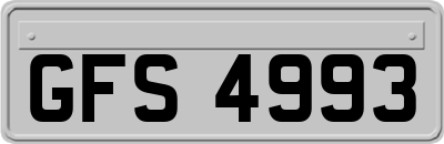 GFS4993