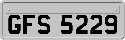 GFS5229