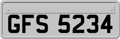 GFS5234