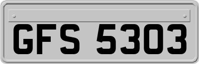 GFS5303