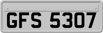 GFS5307