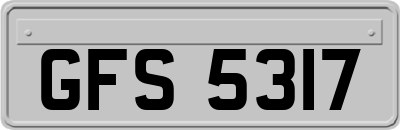 GFS5317