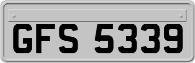 GFS5339