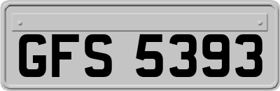GFS5393