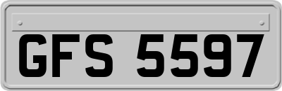 GFS5597