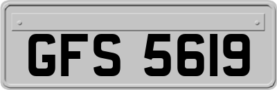 GFS5619