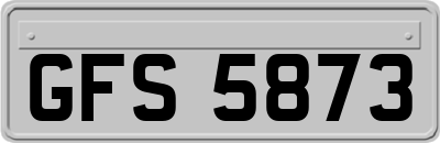 GFS5873