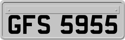 GFS5955