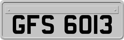 GFS6013