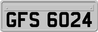 GFS6024