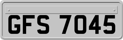 GFS7045