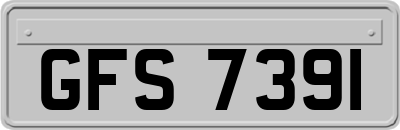 GFS7391