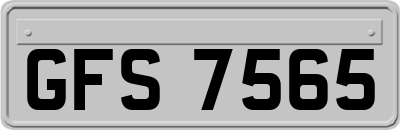 GFS7565