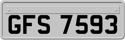 GFS7593