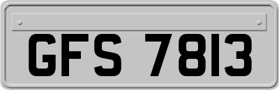 GFS7813
