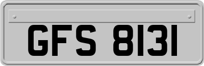 GFS8131