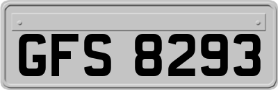 GFS8293
