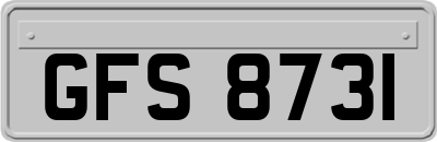 GFS8731