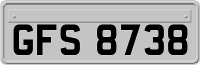 GFS8738
