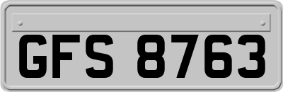 GFS8763
