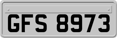 GFS8973