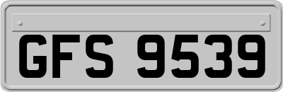 GFS9539