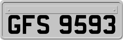 GFS9593
