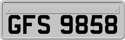 GFS9858