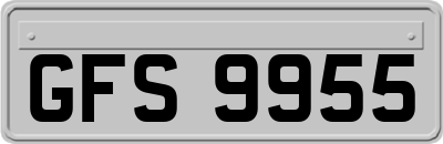 GFS9955