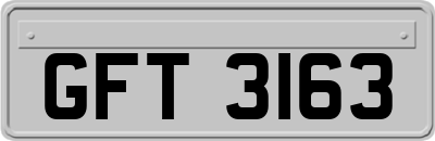 GFT3163