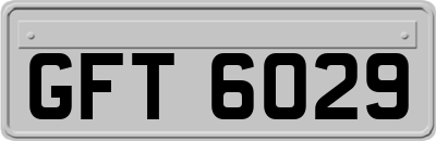 GFT6029