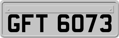 GFT6073