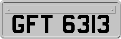 GFT6313