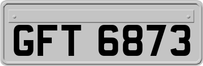 GFT6873