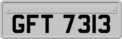 GFT7313