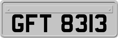 GFT8313