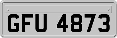 GFU4873