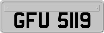 GFU5119