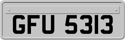 GFU5313