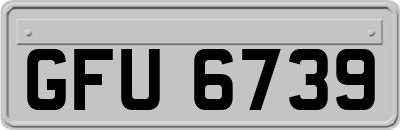 GFU6739