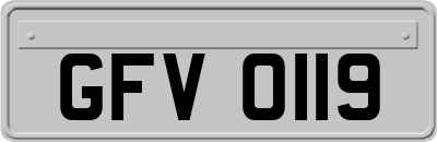 GFV0119