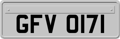 GFV0171