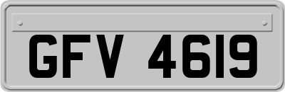 GFV4619