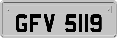 GFV5119