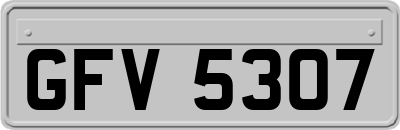 GFV5307