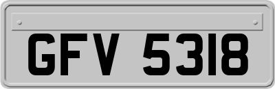 GFV5318