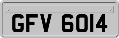 GFV6014