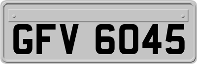 GFV6045